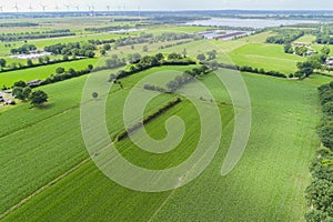 Drone flight and aerial view over a corn field