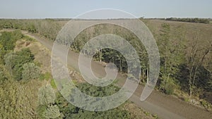 Drone flight along a dirt rural road next to an agricultural field