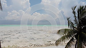 Drone flight through the palm trees on the Zanzibar coastline