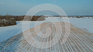 Drone fly above winter farm field with wheat stubble in snow and bushes