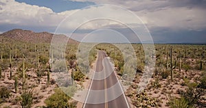 Drone flying above beautiful winding desert road in the middle of large cactus field in Arizona national park desert USA