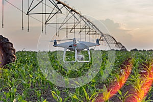 Drone flying above corn field and mapping