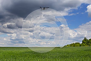 Drone flying above a green rural fields