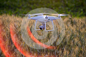 Drone flying above wheat field and mapping