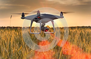 Drone flying above wheat field and mapping