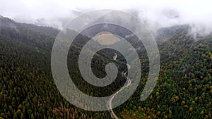 Drone flying in the foggy sky over a narrow river and mountain road between pine forest. Foggy aerial view.