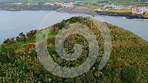 Drone flying green island forest on cloudy morning. Picturesque ocean coastline