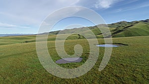 Drone flying over beautiful grassland