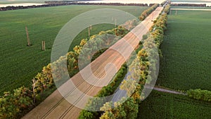 Drone flying over road between green agricultural fields during dawn sunset.