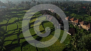 Drone flying over scenic landscape of Bali with agricultural rice terraces fields and villas with straw roofs in summer