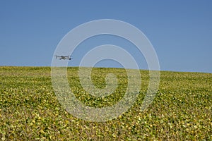 Drone flying over soy plantation on sunny day in Brazil