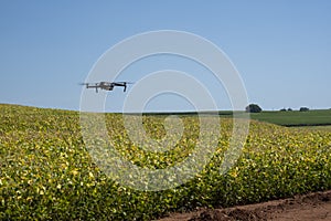 Drone flying over soy plantation on sunny day in Brazil