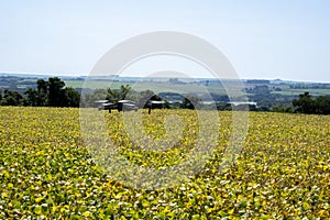 Drone flying over soy plantation on sunny day in Brazil