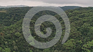 Drone flying through rainforest canopy in Aberdare National Park, Kenya, Africa. Aerial vi