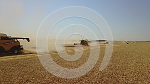 Drone flying very low above the field of wheat shooting summer harvesting with many harvest 4K footage