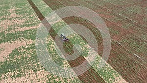 Drone following an agricultural tractor plowing a field with weeds creating furrows in the ground