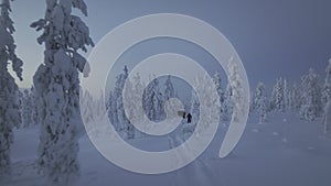 Drone following hikers walking in the Lapland tundra