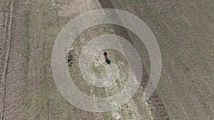 Drone follows little blond Caucasian boy running along agricultural field on suburb. Aerial view of happy cheerful child