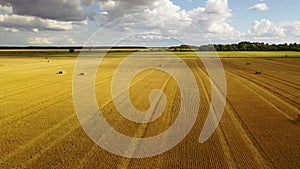 Drone footage of agriculture fields and square hale bales