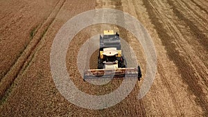 Drone footage of golden fields and combine harvester