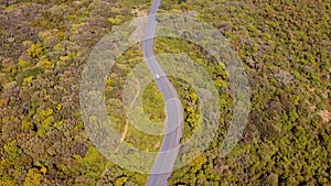 Drone footage of road surrounded by dense trees