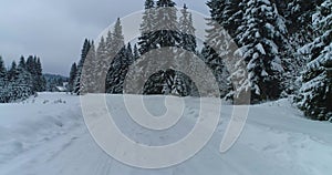 Drone footage snow covered trees, winter nature beautiful Europe aerial view pine forest mountain, season travel white frozen natu