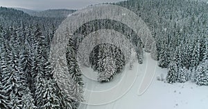 Drone footage snow covered trees, winter nature beautiful Europe aerial view pine forest mountain, season travel white frozen natu