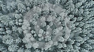 Drone footage snow covered trees, winter nature beautiful Europe aerial view pine forest mountain, season travel white frozen natu