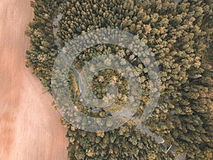 drone image. aerial view of rural area with fields and forests w