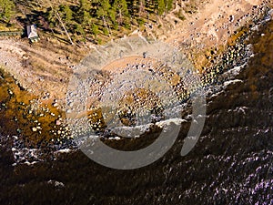 drone image. aerial view of rural area with rocky beach of Baltic sea