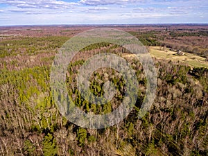 drone image. aerial view of rural area with rocky beach of Baltic sea