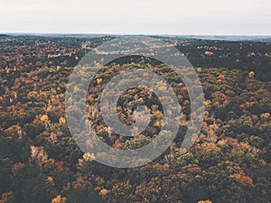 Drone image of a multicolored forest in the Southeastern United States with fall foliage.