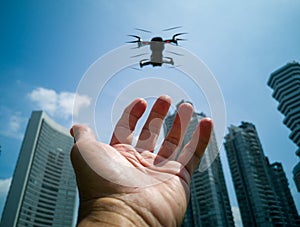 Drone landing on a palm with high rise building