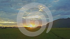 Drone Moves above Rice Fields against Hills Pictorial Dawn