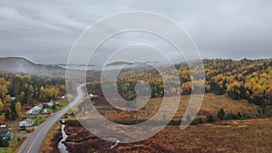 Drone moves over a yellow birch forest in a fog near a small town and a road