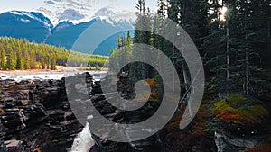 Drone panorama of the gorge with a Athabaska Waterfall and a coniferous forest Athabaska River, Alberta, Canada