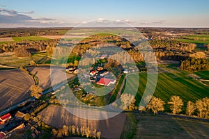 Drone photo of the bright green wheat field separated by the road. There is a tree by the road. aerial view. beautiful minimalist