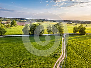 Drone Photo of the Crossroad Between Trees in Colorful Early Spring - Surrounded with Dandelion Field. Blue Skies with Clouds in
