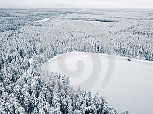 Drone Photo of Frozen Lake Between Snow Cowered Forest