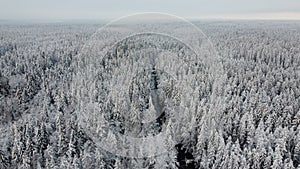 Drone photo panorama of the river in winter forest