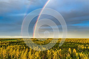 Drone photo, rainbow over summer pine tree forest, very clear skies and clean rainbow colors. Scandinavian nature are illuminated photo