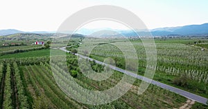 drone photography,aerial view of orchards in resen, prespa, macedonia