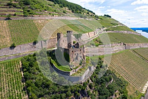 Drone photography Ehrenfels castle ruins between vinegrapes.