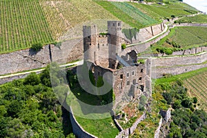 Drone photography Ehrenfels castle ruins between vinegrapes.