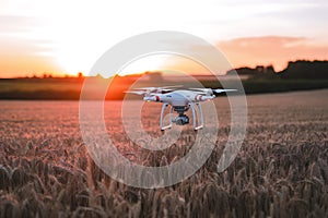 Drone Photography in Golden Hour Wheat Field photo