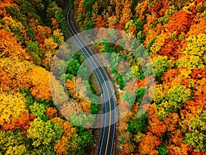 Drone point of view of the curvy roads during fall foliage in Upstate New York