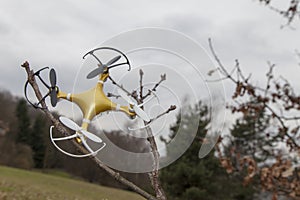 Drone quadcopter crashed on tree in city park