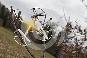 Drone quadcopter crashed on tree in city park
