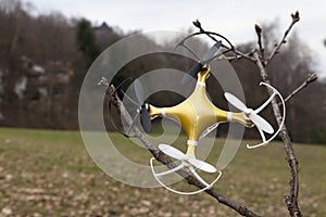 Drone quadcopter crashed on tree in city park