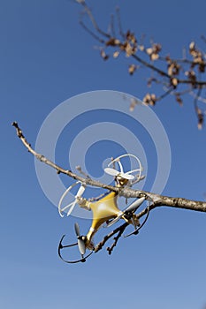 Drone quadcopter crashed on tree in city park